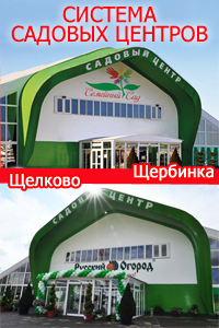 Описание изображения