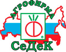 Описание изображения